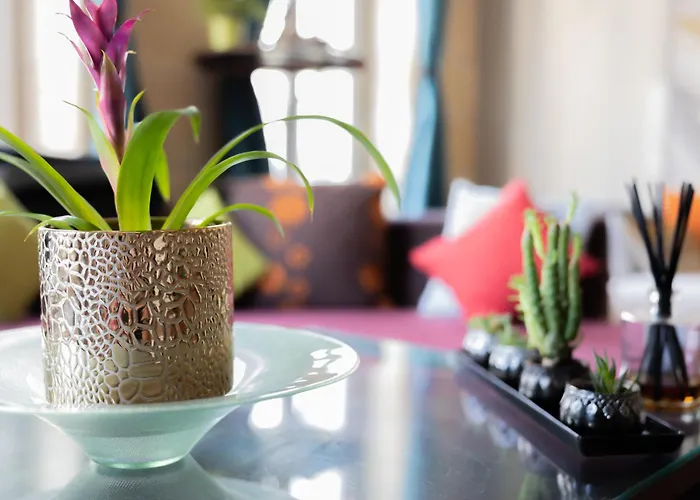 公寓 Plein Centre Duplex 波尔多