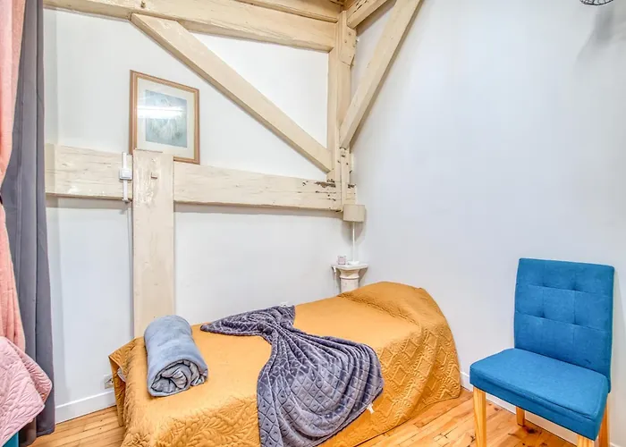 Plein Centre Duplex 公寓